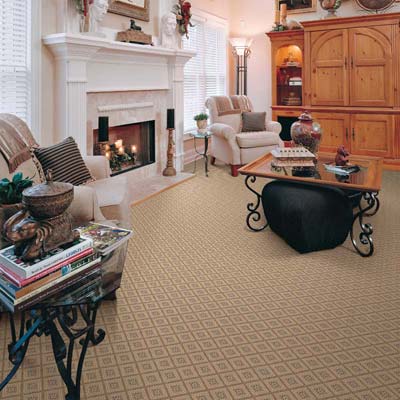 Carpet Tiles in Model Colony